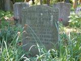 image of grave number 305422